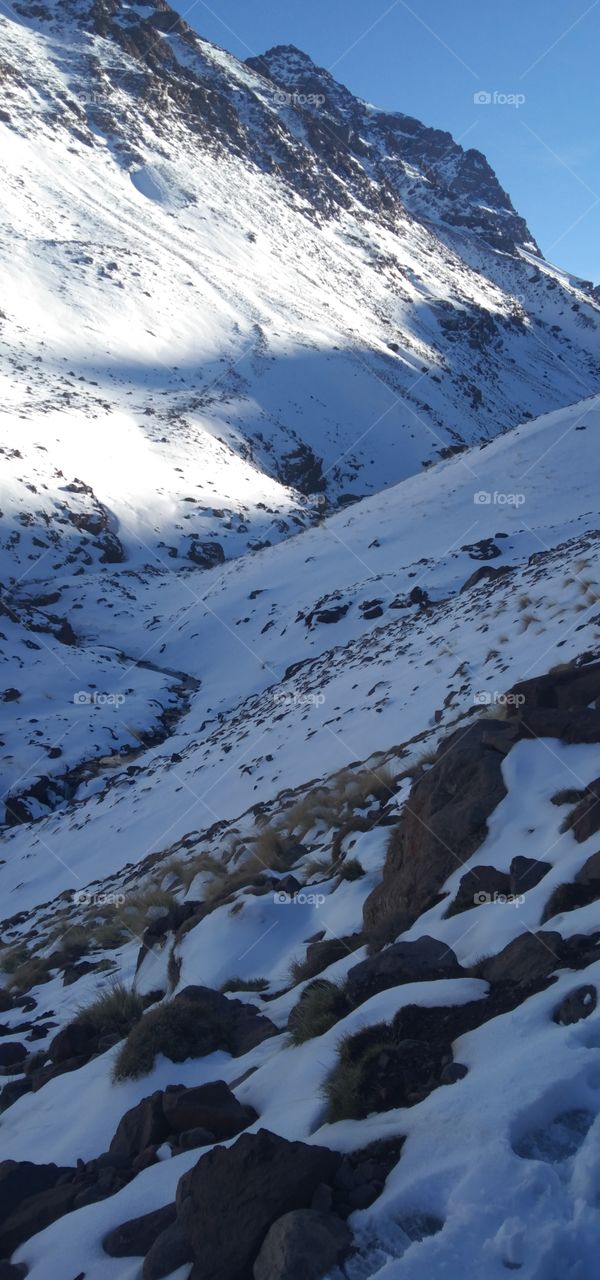 elements of December