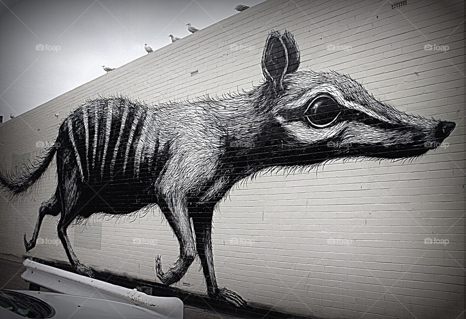 graffiti wall art animal by cataana