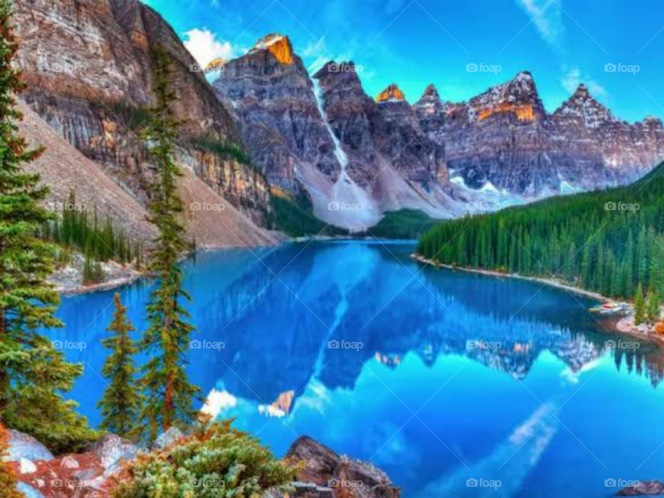 The Beautiful Nature Vibes