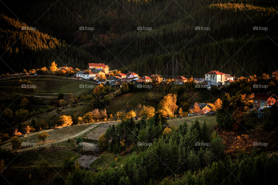 Cities and Countrysides