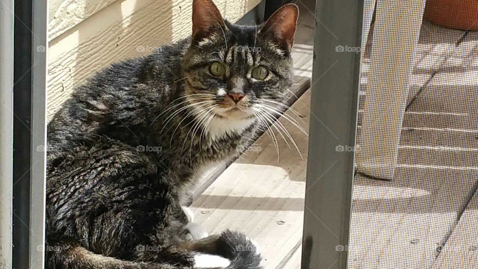 Just hanging out on the patio