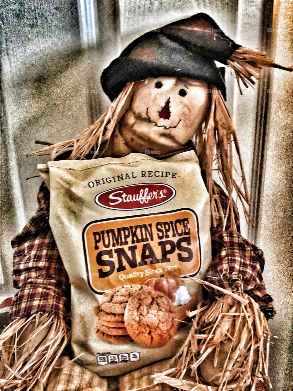 Country Scarecrow doll holding a bag of Stouffer ‘ s  Pumpkin Spice Gingersnap  cookies  rustic background autumn fall traditions 