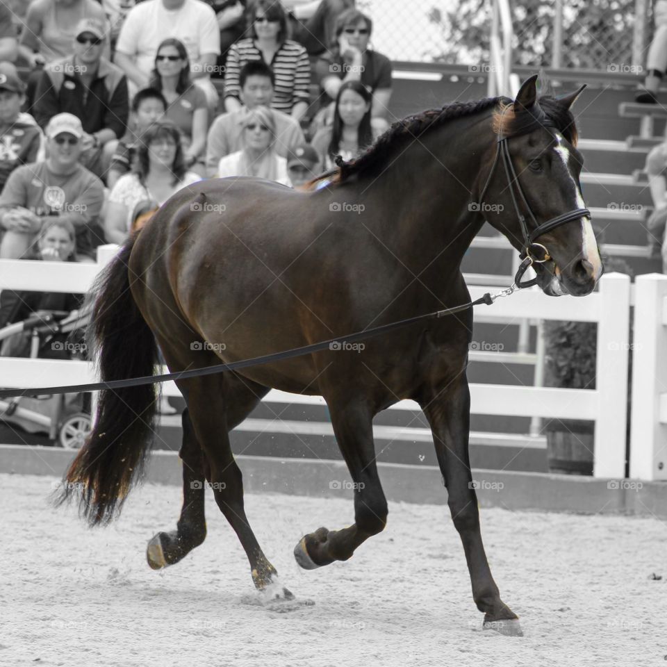 When in doubt, just ride