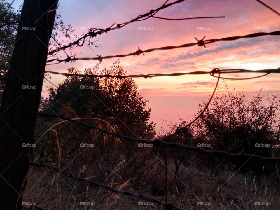 Sunset Fence
