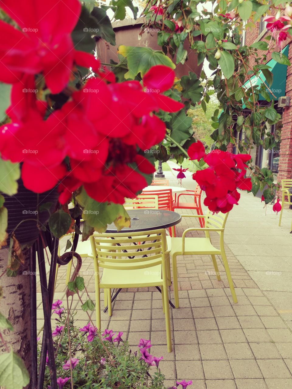 the sitting area with beautiful, red, nice flowers