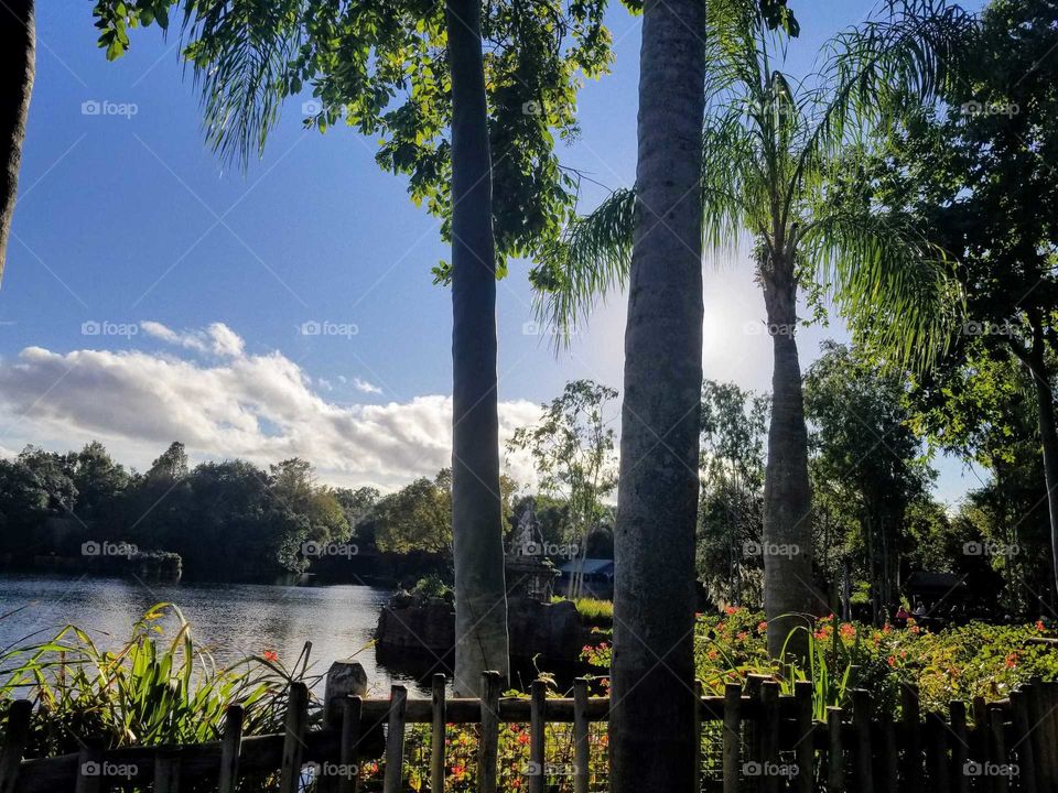 O lago do parque em Orlando.