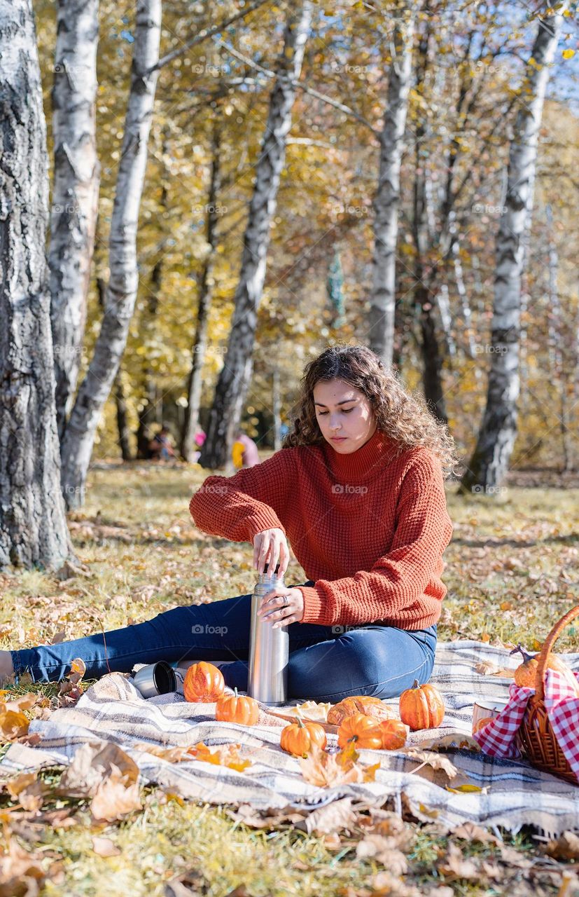 picnic in the park