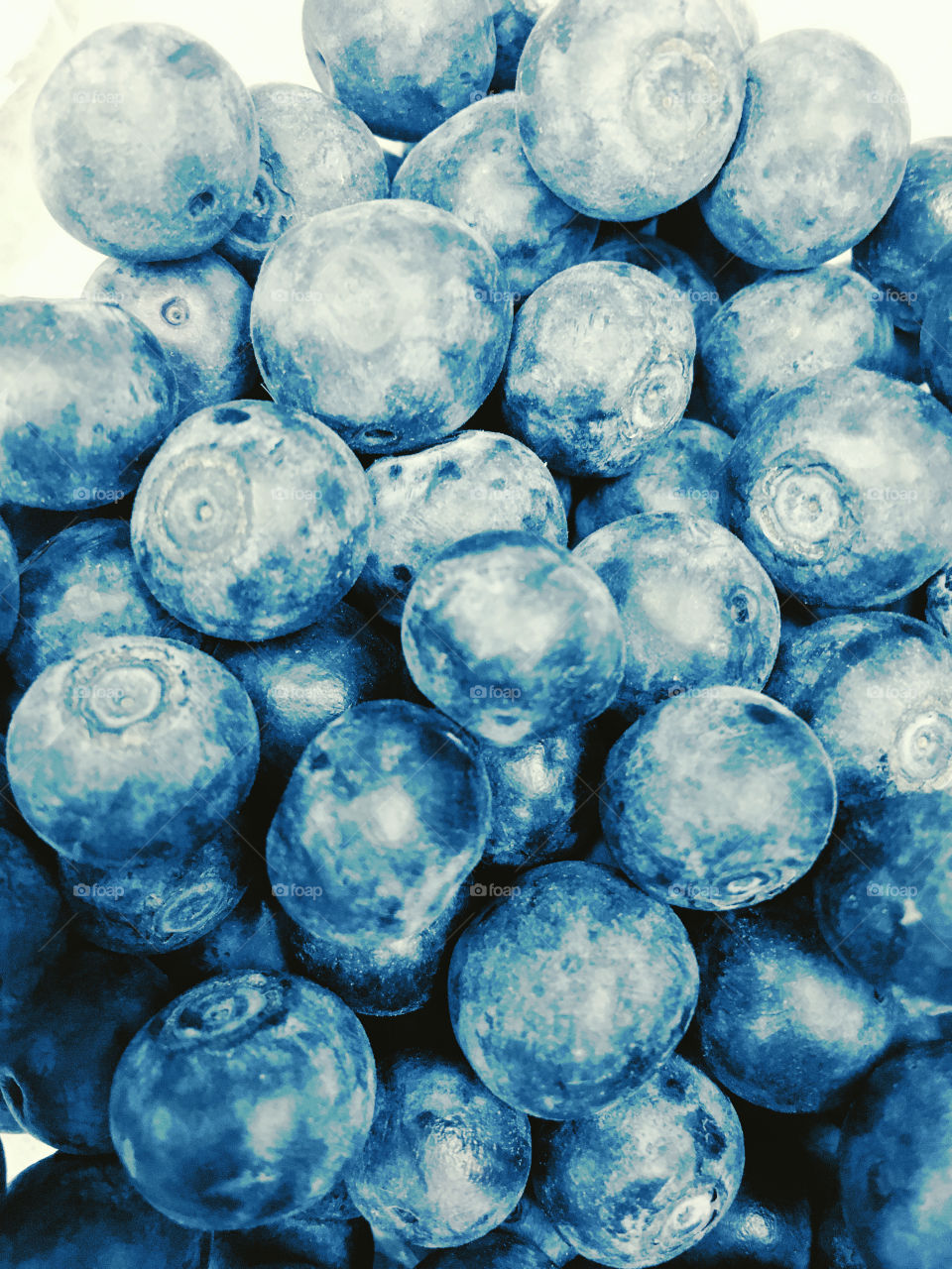 Blueberries 