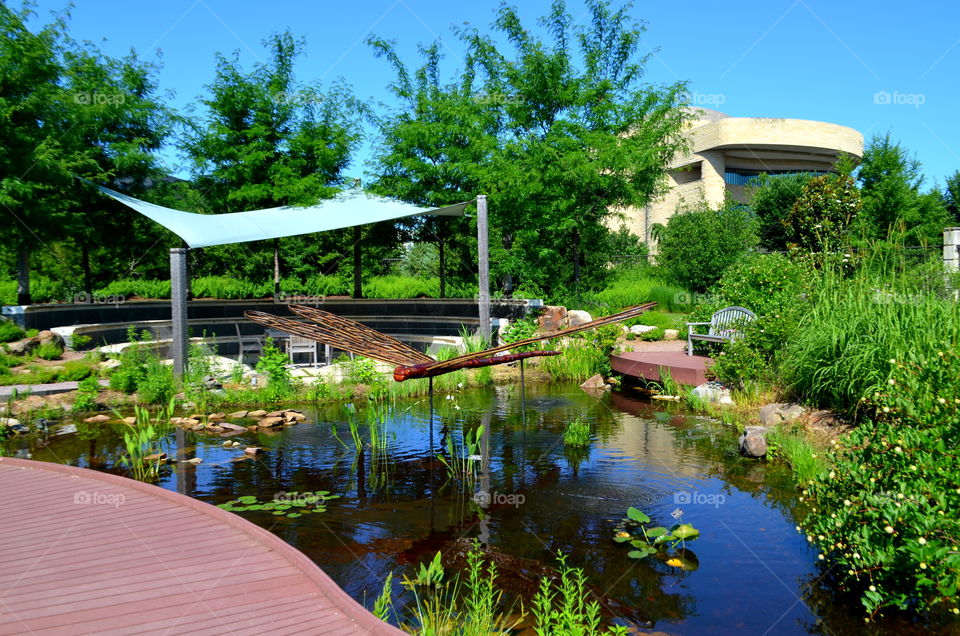 Urban Garden