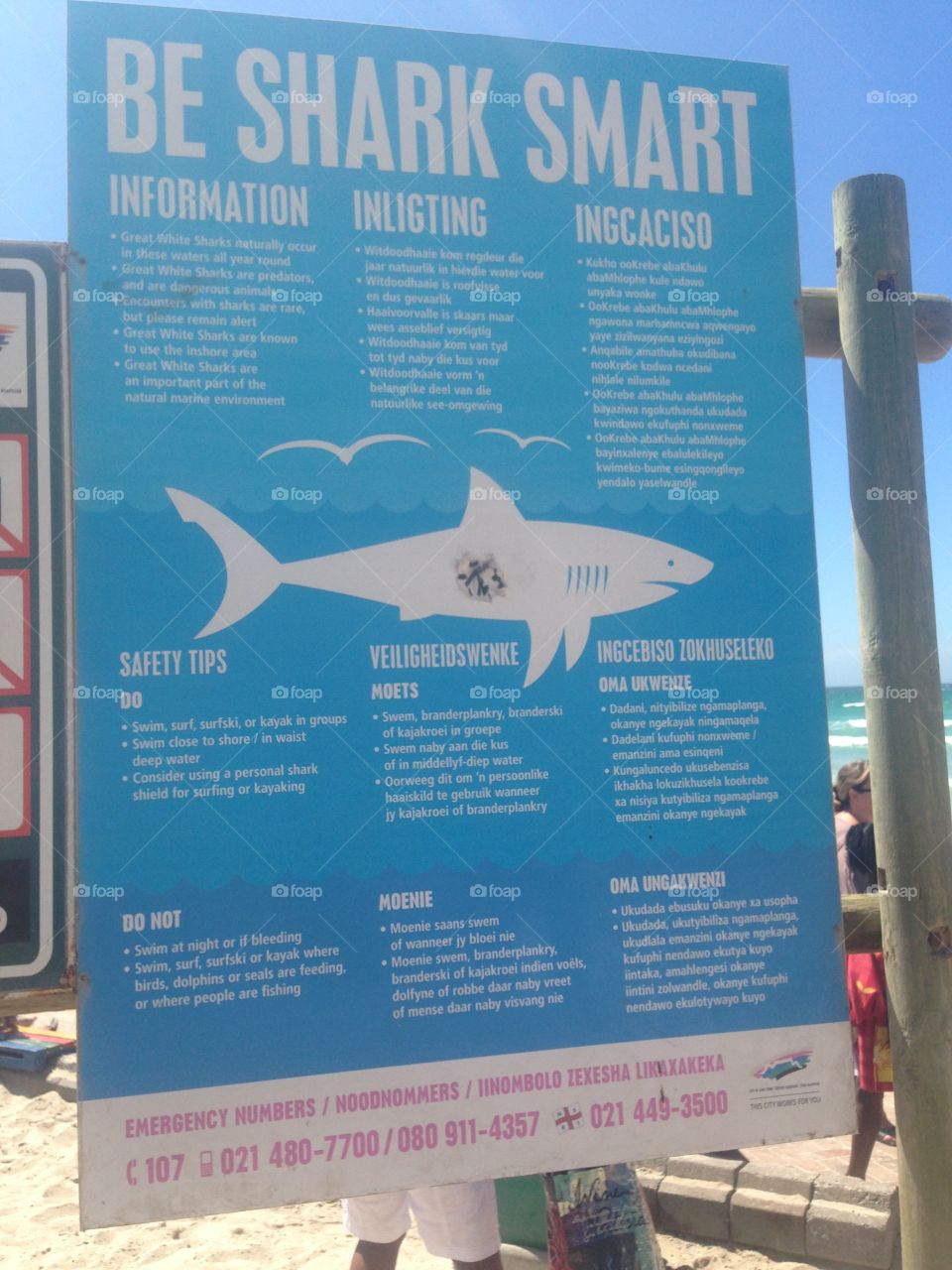 Being shark smart in South Africa 