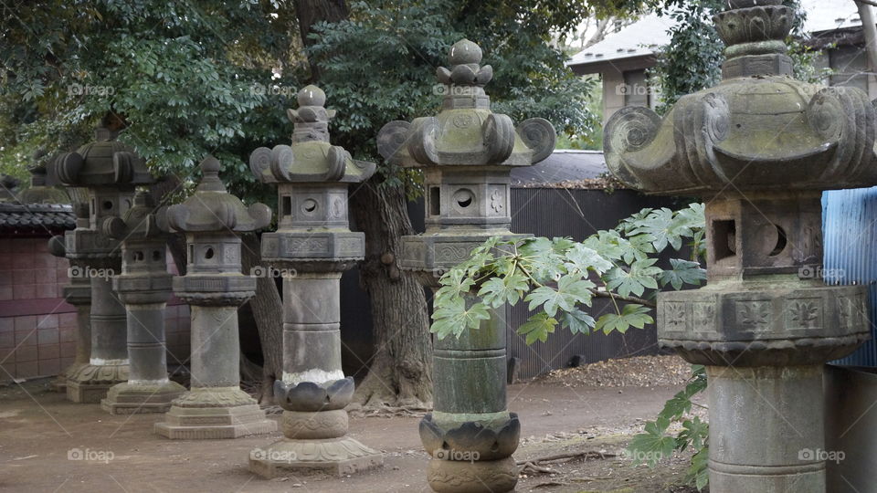stone lanterns line the paths near shrines and temples all over Japan