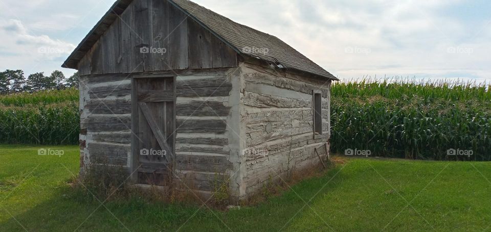 Old Cabin