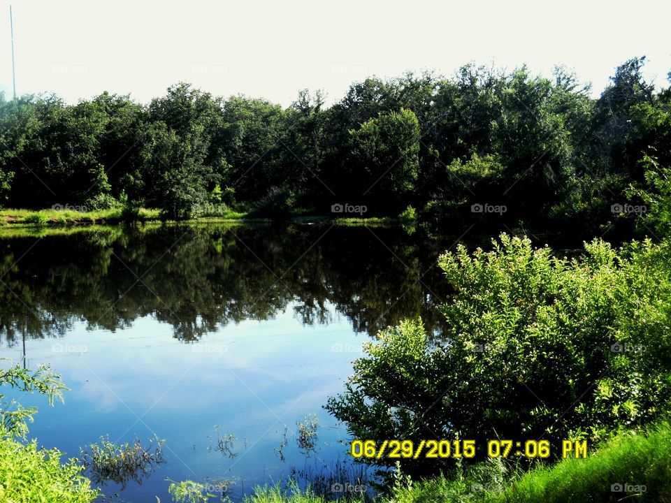 Texas pond 2. This is another picture of the same Texas pond that I saw while out riding my bike 🚲 this weekend 
Olney Texas