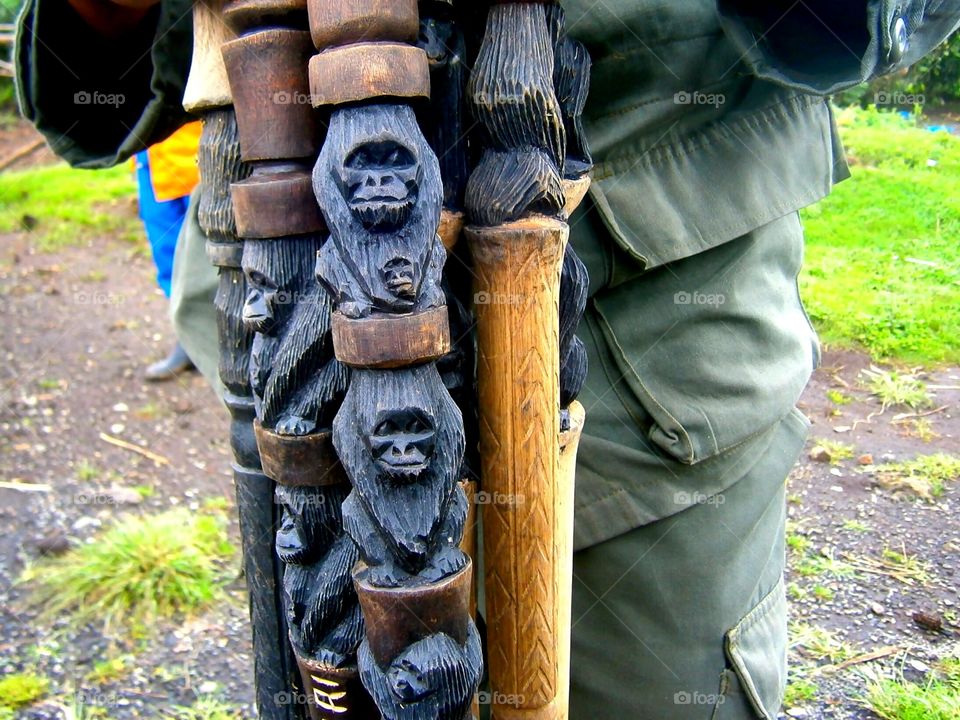 Walking sticks with gorillas