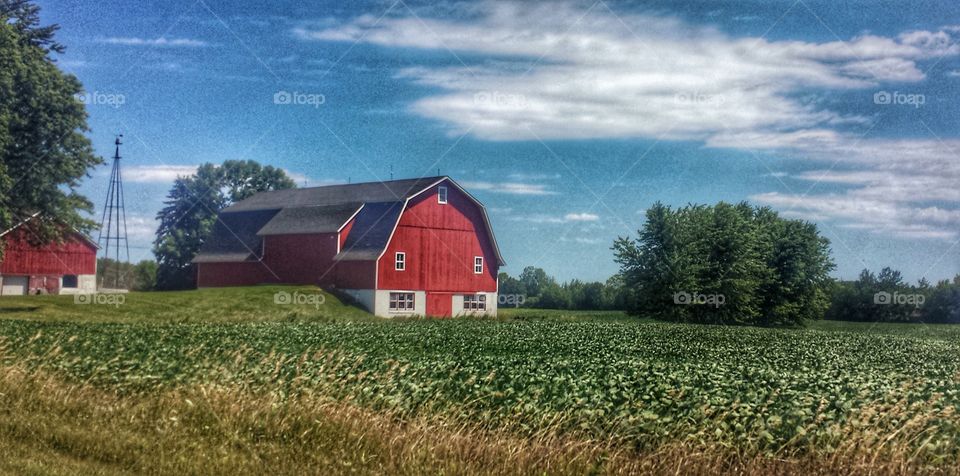 Barn Scene