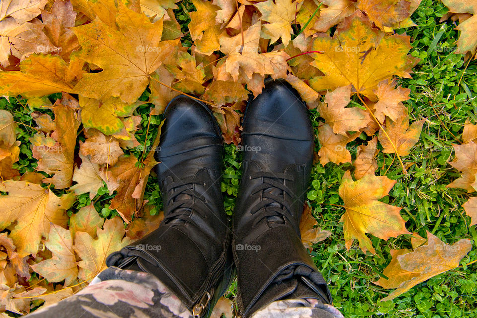 A person wearing black shoe standing on autumn leaf