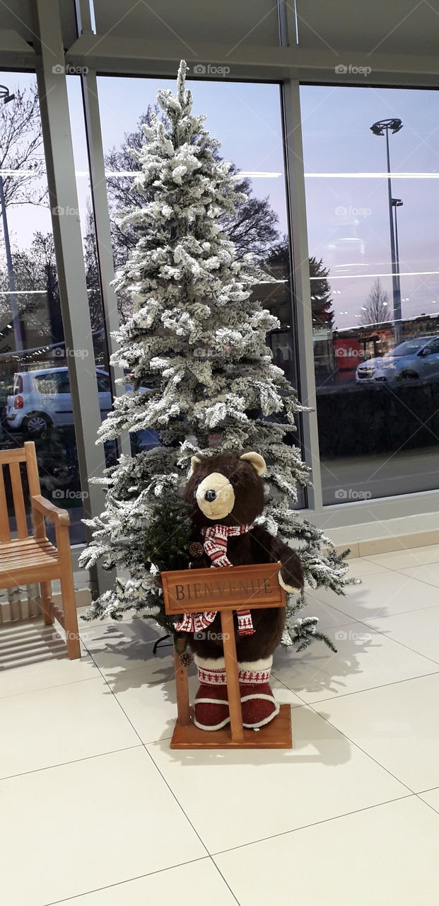 sapin de Noël / ours