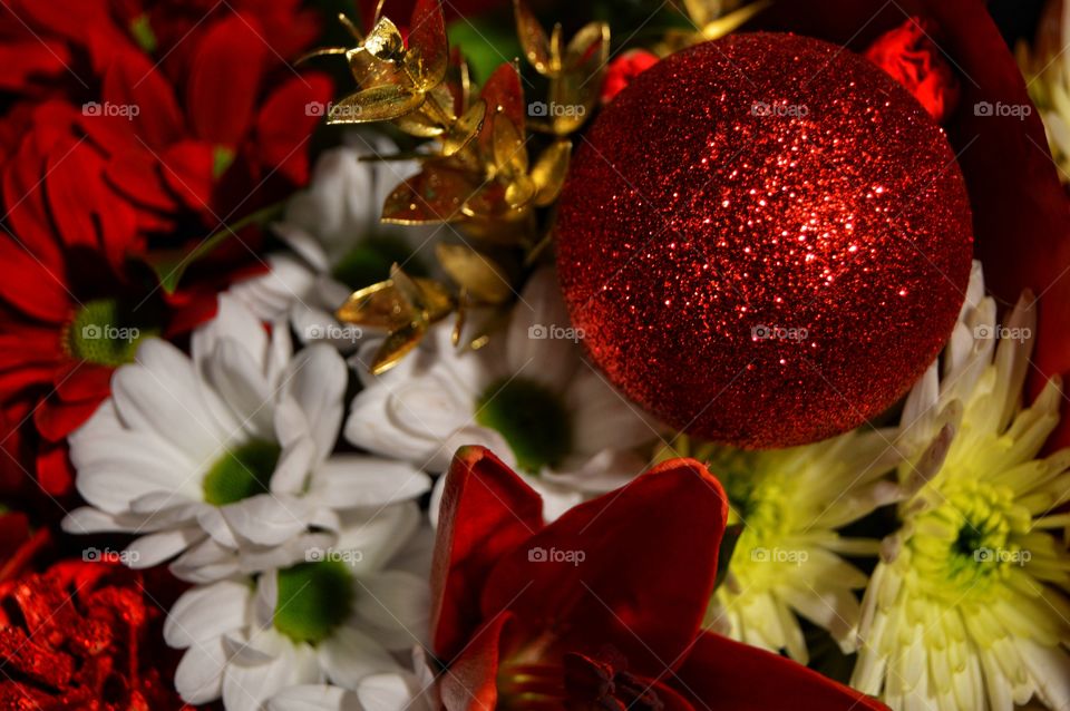 Christmas flowers