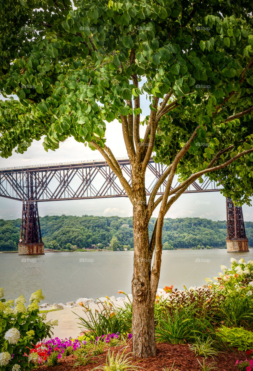 Poughkeepsie park walkway bridge