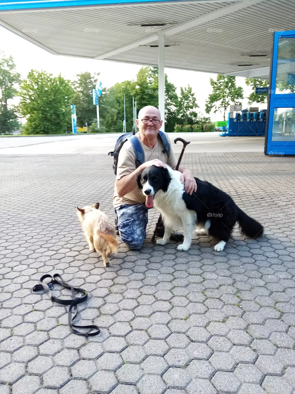 Meine Freunde
