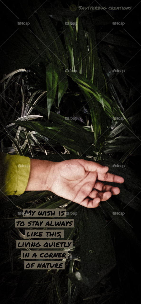 My wish is always like this,to stay at corner of the nature