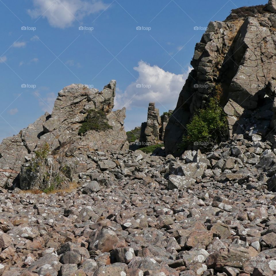 Detail of Hovs Hallar rocky landscape on Bjäre peninsula, Skåne, Sweden 2