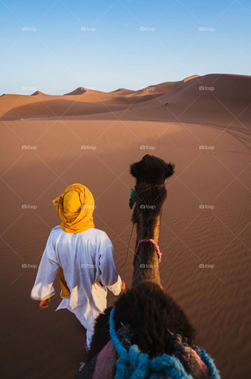 man walking on desert with camel
