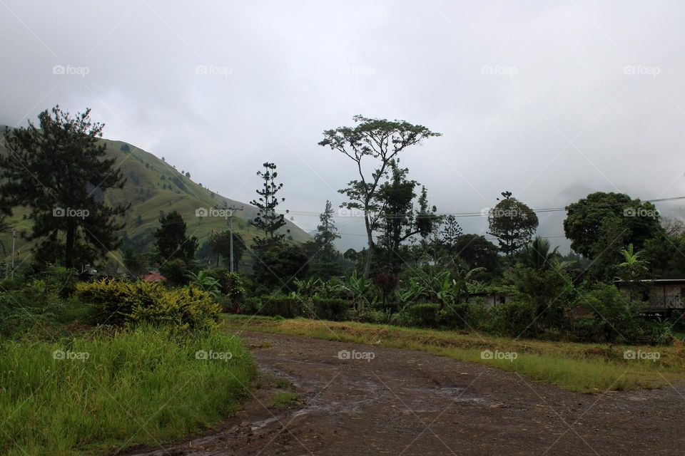 Morning after rain, Menyamya