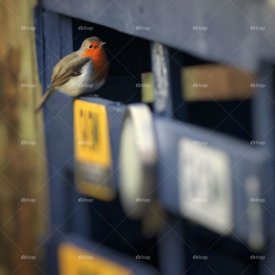 Redbreast on a outside bar with car numberplates