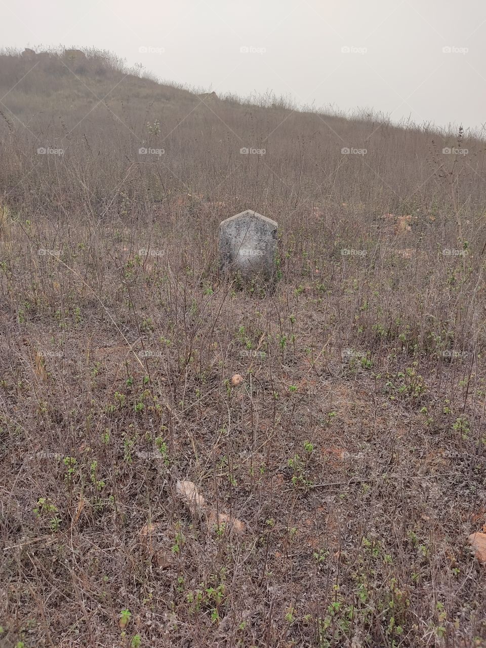 Funny Milestone 🤣🤣🤣🤣