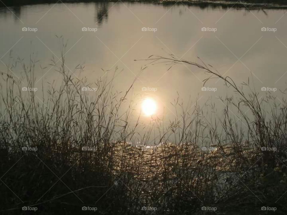Sun image on water surface