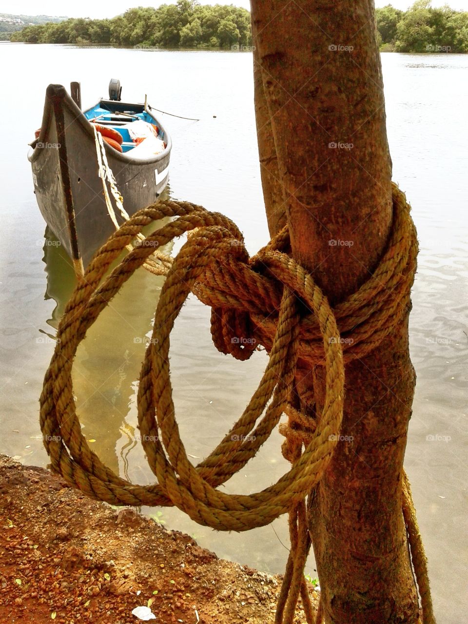 boat fishing travel vehicle knot rope tree river water mangroves village rustic scene on a hike