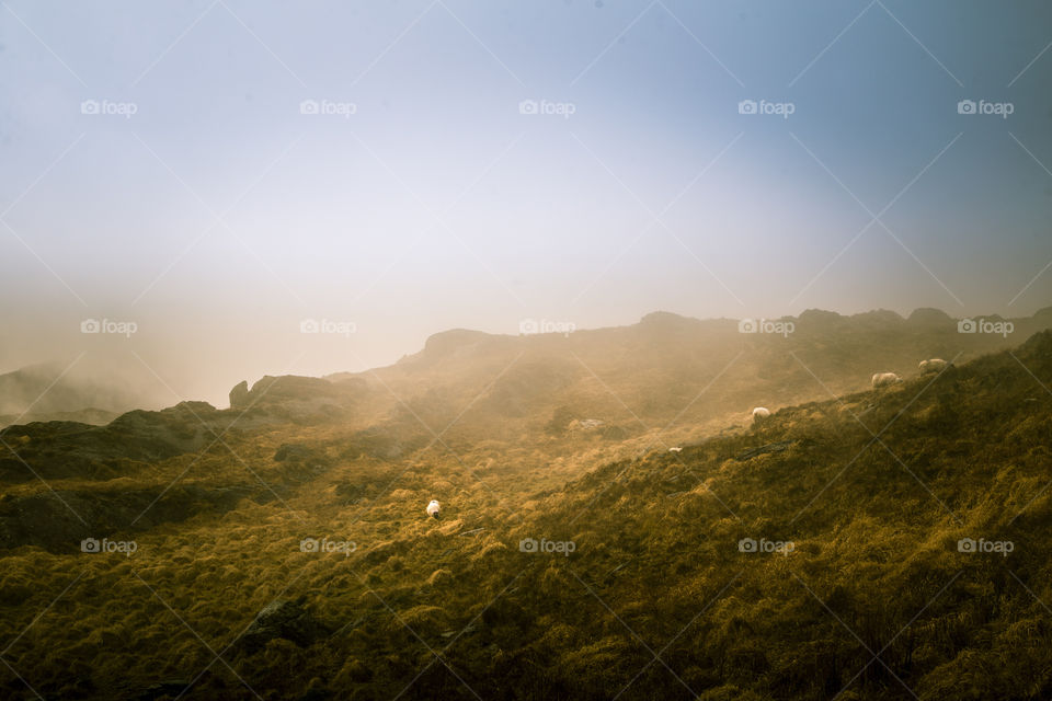 Landscape, Fog, Mountain, Sky, Sunset