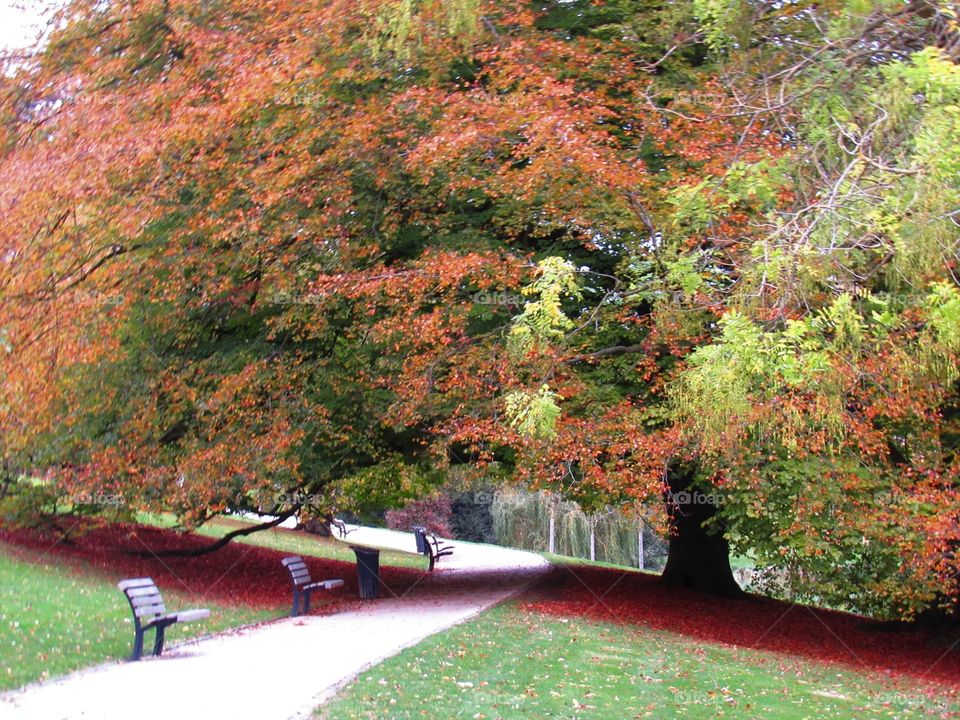 In the park