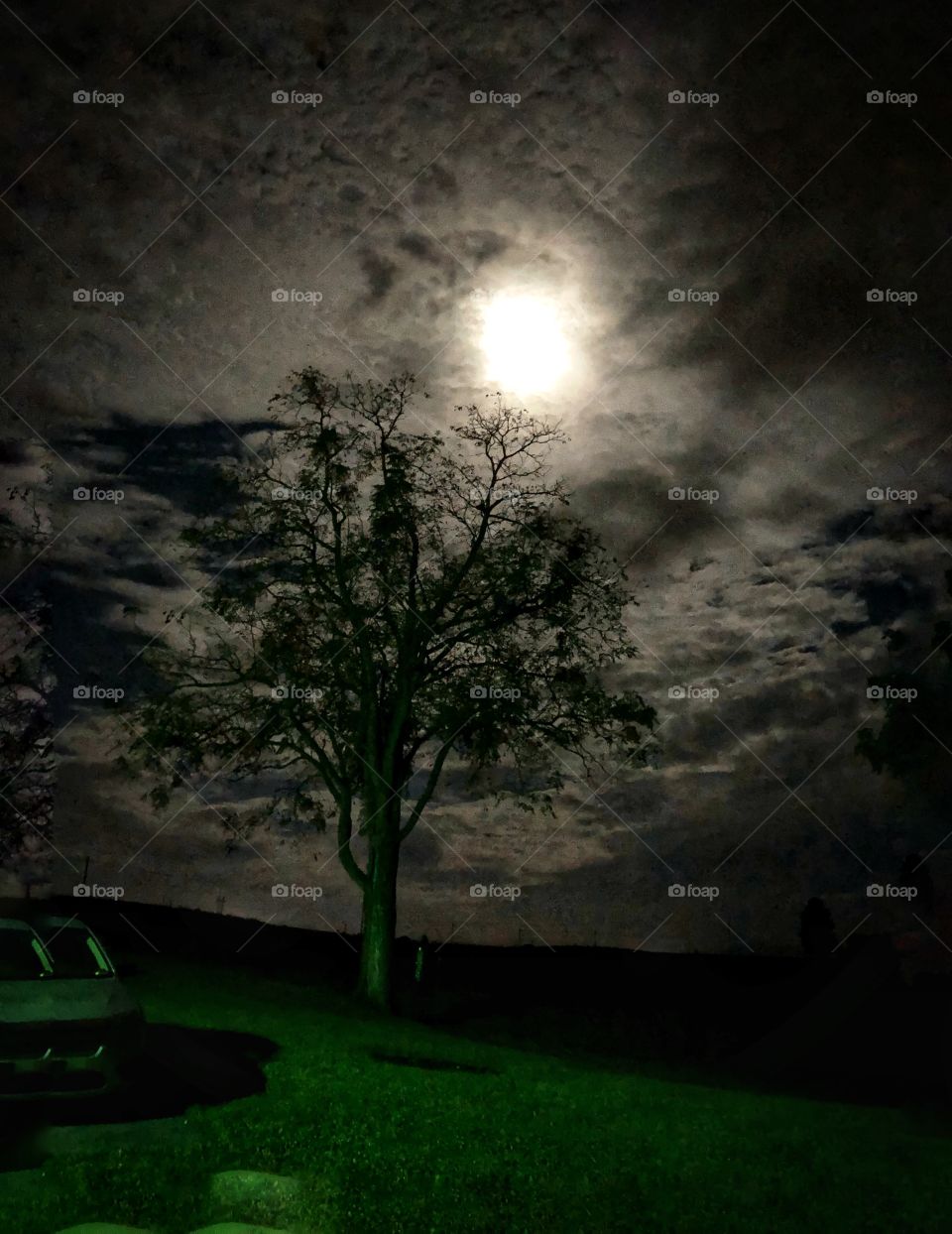 Full moon on the farm 