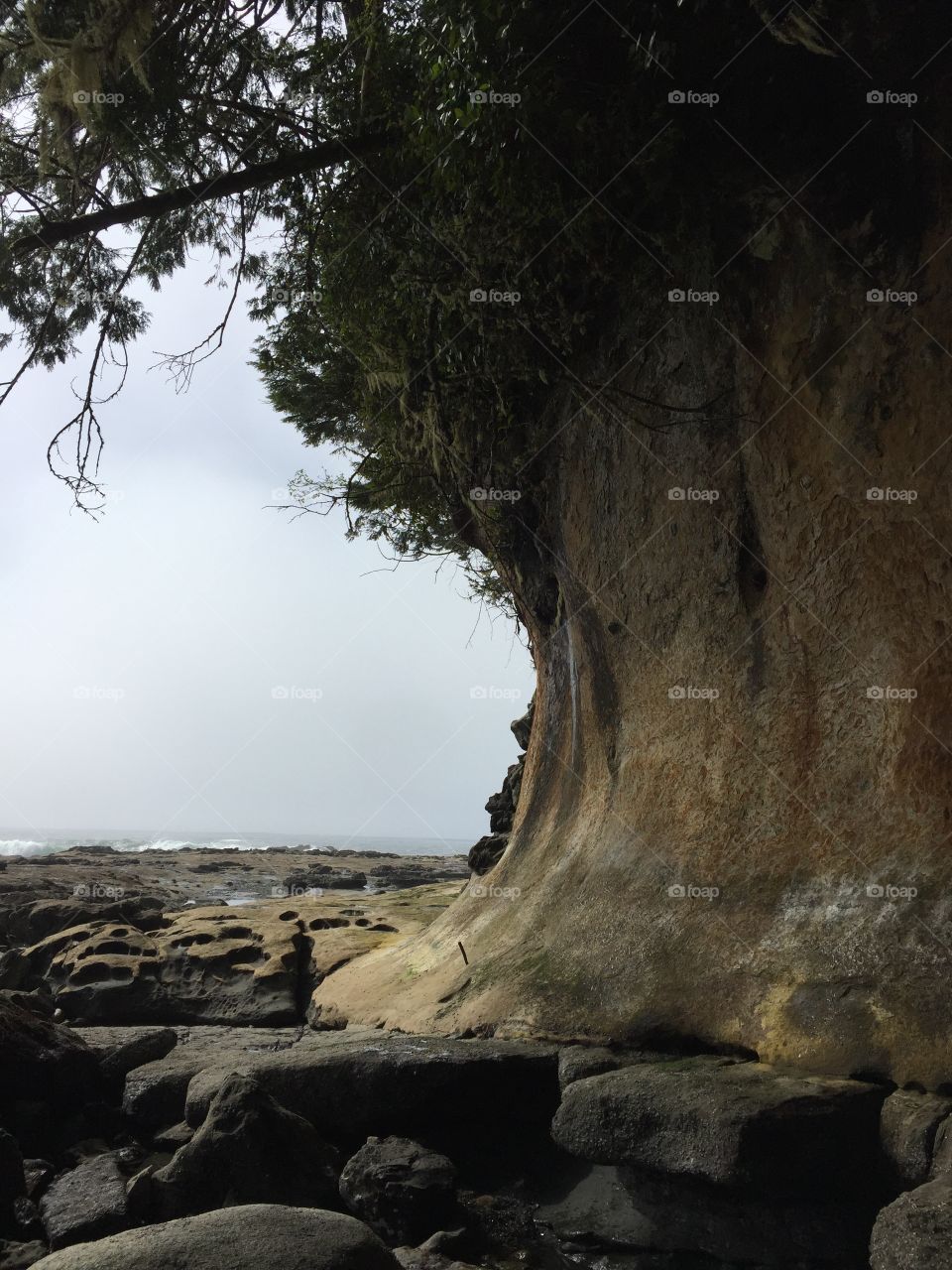 Sandstone Cliff 