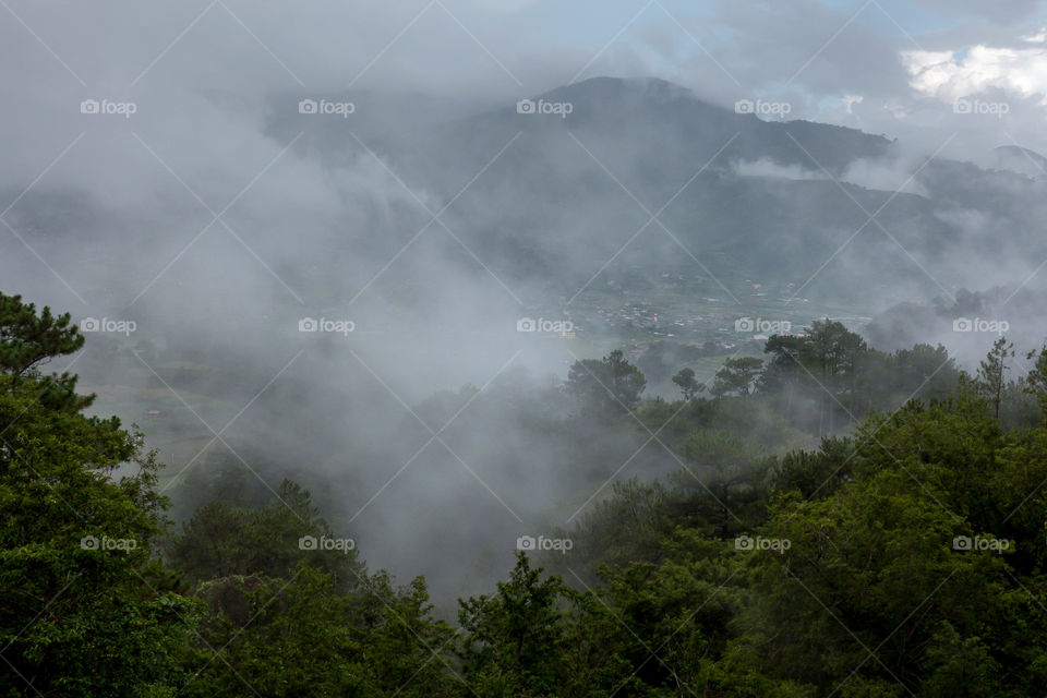 foggy morning