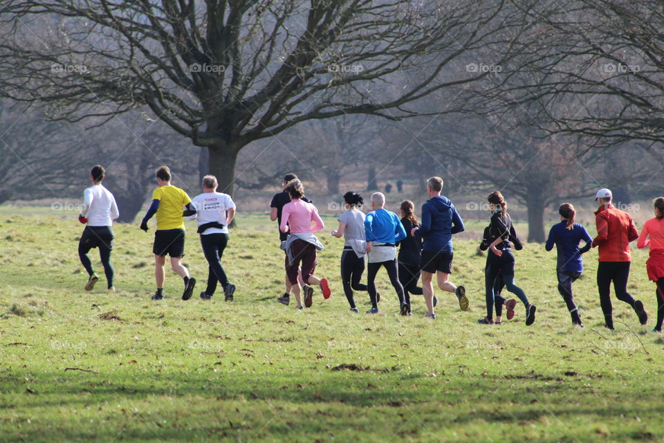 Runners in Richmond park