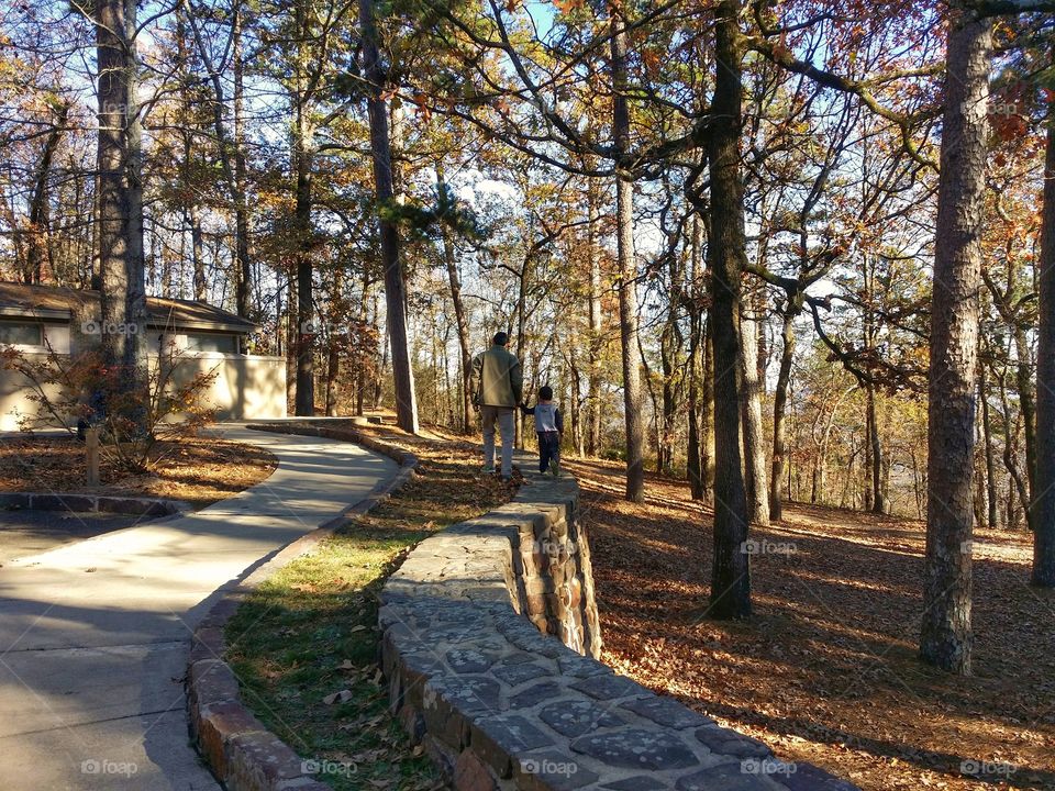 Man & Boy Walking in a Wooded Park