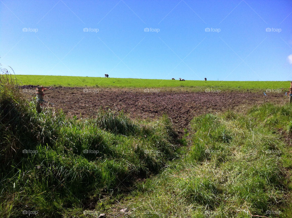 sky green nature ireland by fabkat