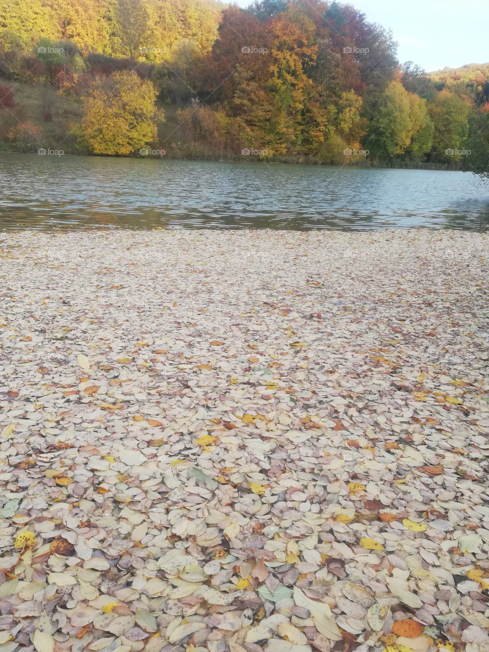 Natur