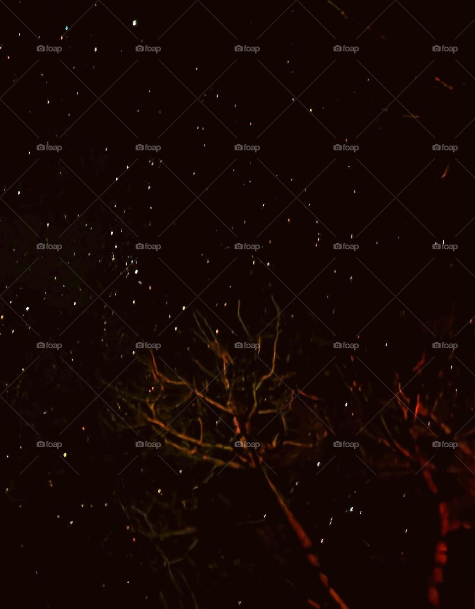 night sky filled with stars