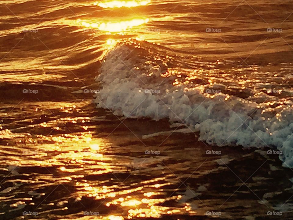 Sea of gold as the waves dance at sunrise at Oceanridge FL