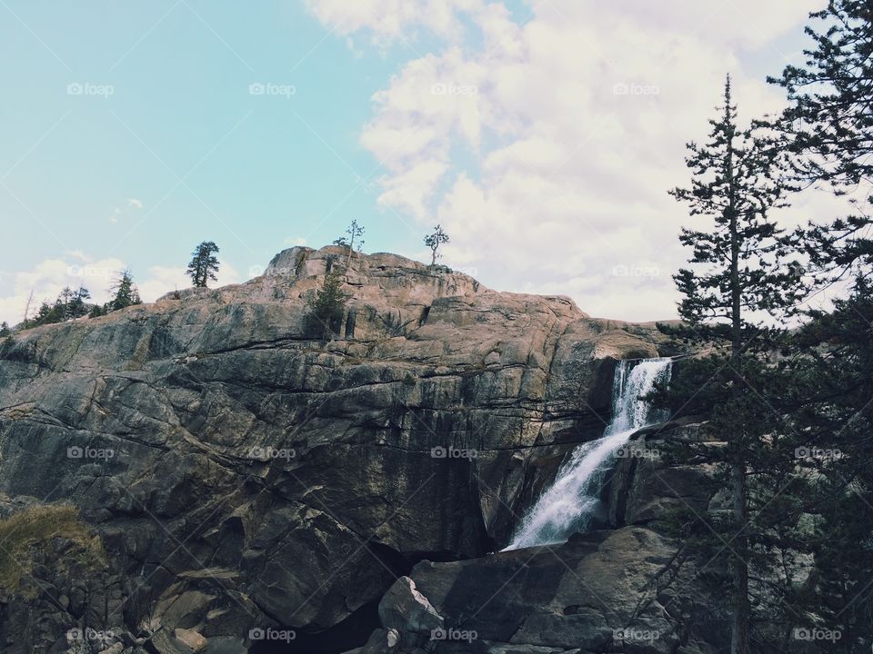 Summer at Yosemite National Park