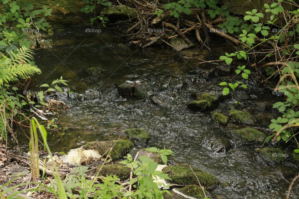 The rippling water of the Red brook.
It is wonderful to enjoy the flowing water in nature.
The Red Brook owes its name to the iron that carried by groundwater. The small pieces of iron will rust, turning the water a little red.