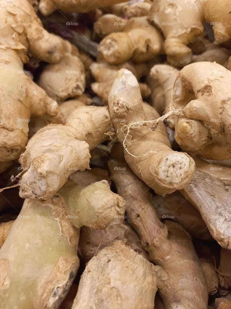 O gengibre é uma raiz comestível, que pode trazer vários benefícios para a saúde, como ajuda a emagrecer, tratar má digestão,é um potente antioxidante e anti-inflamatório, que ajuda a combater inflamações no estômago, que causam gastrite e úlceras