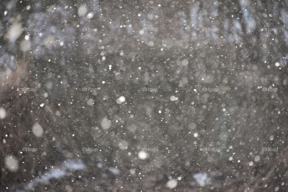 Heavy snowfall on woodland landscape scene texture with bokeh 