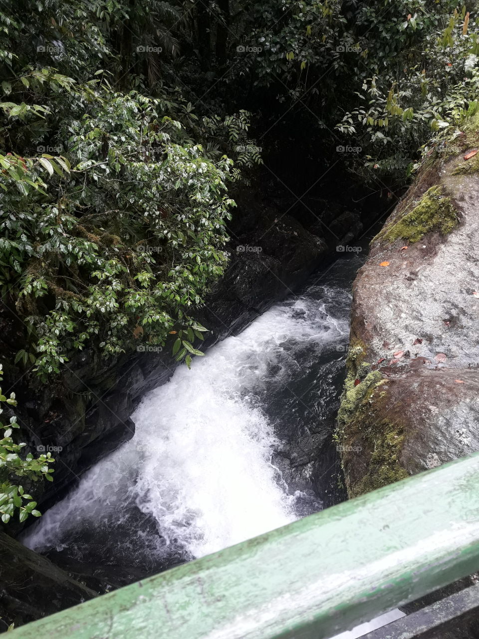 Río Savegre, Costa Rica
