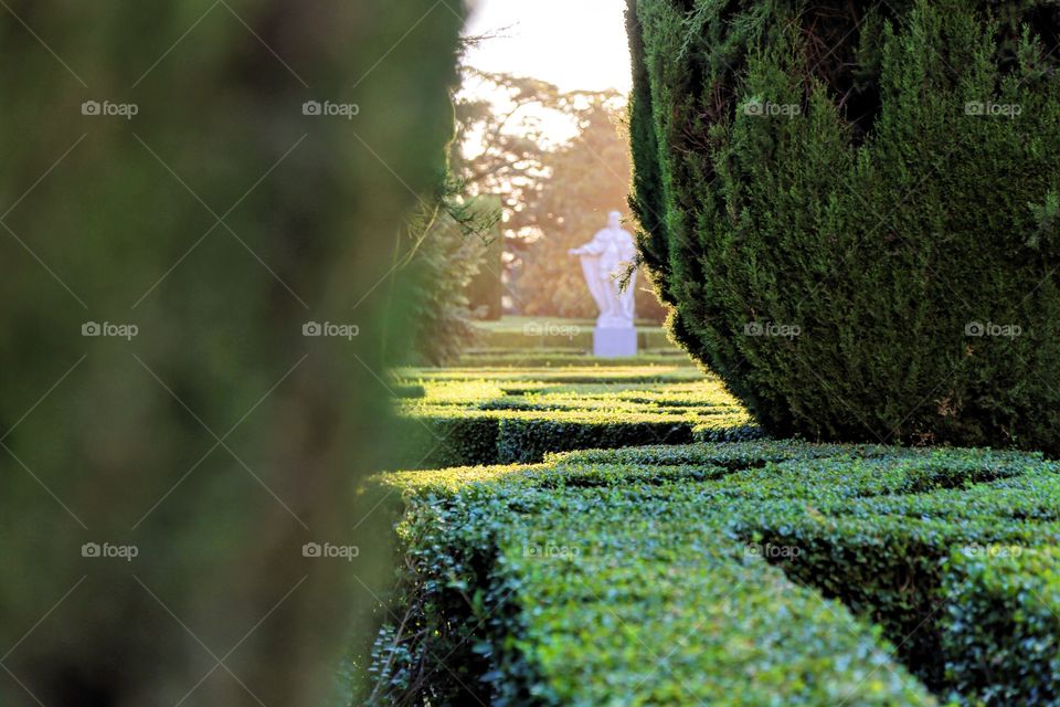 Statue in the Royal garden