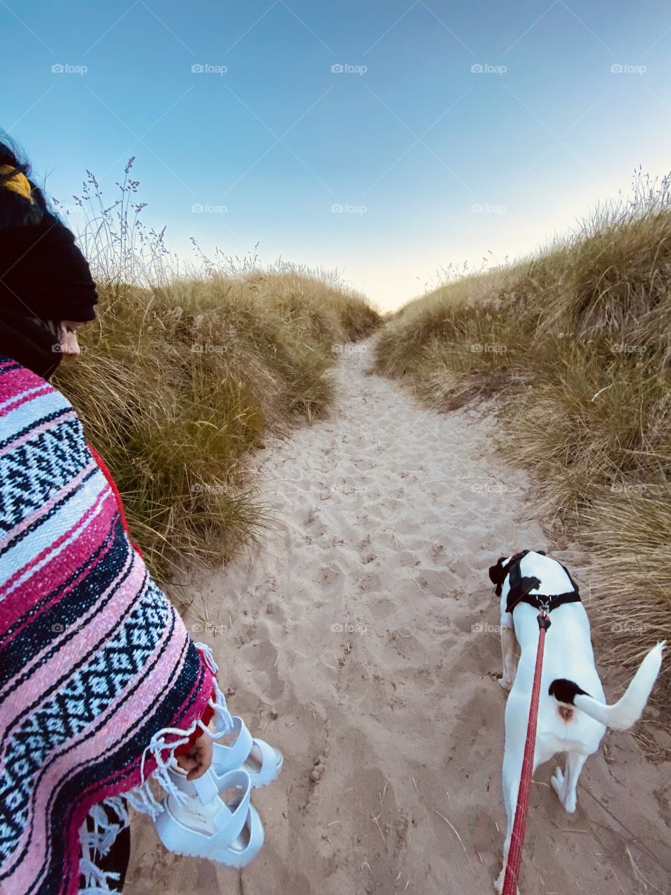 Dune walk with the dog